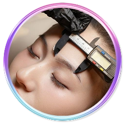 Đo vẽ và phác thảo dáng mày